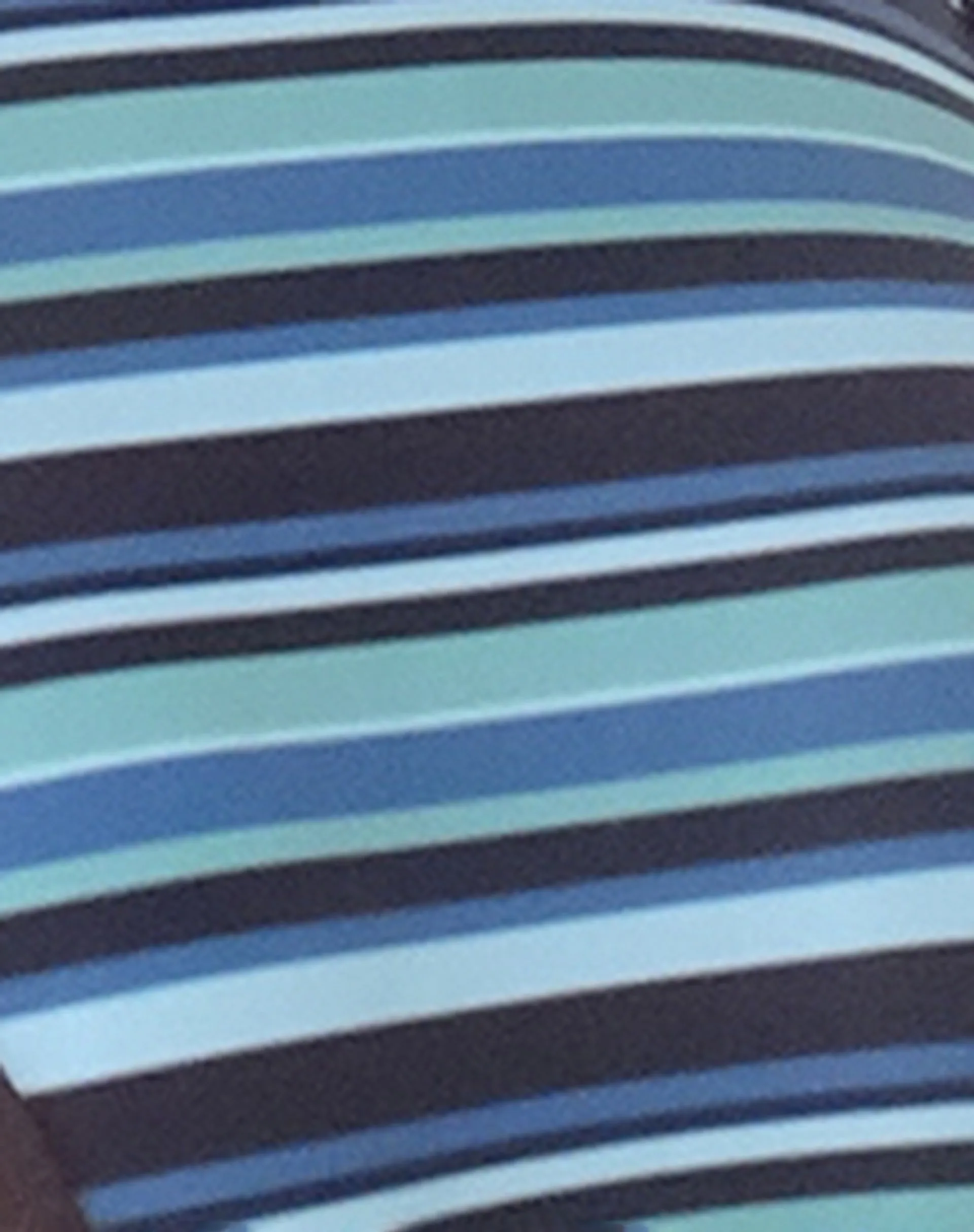Farida Bikini Bottom in Stripe Blue with Brown Binding