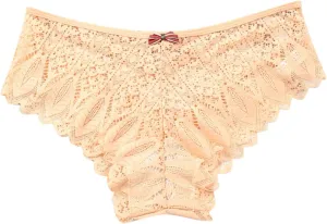 Lace Underwear for Women Breathable Ultra Thin V-Back Criss Cross Underpants Scallop Trim Plus Size Bowknot Knickers
